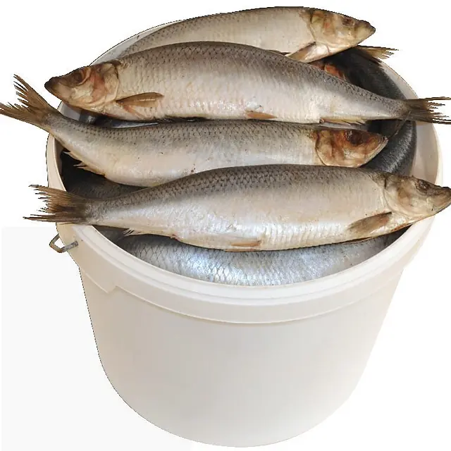 Продукция в магазине «ФИШоп», ул. Петропавловская, 70